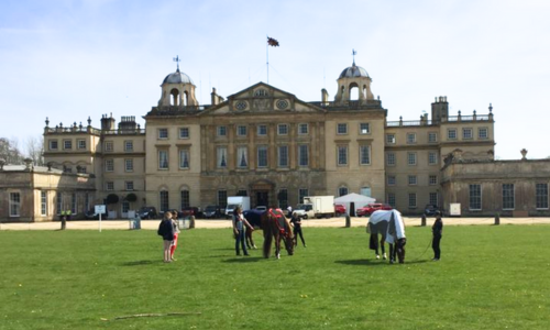 Riders Minds and Badminton Horse Trials Shape the Future