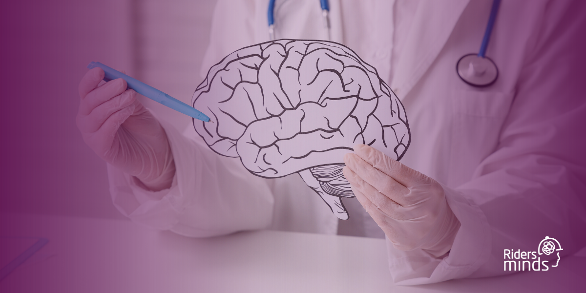 New research highlights the need for vastly improved concussion awareness within equestrian sport